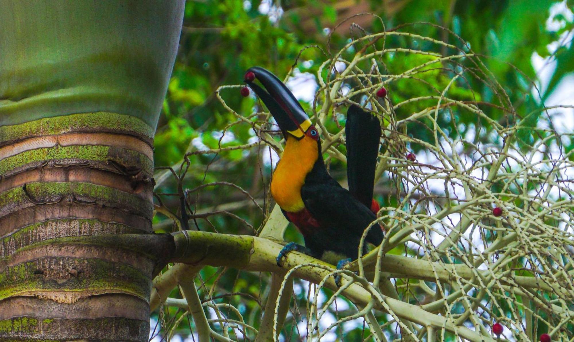 Pousada Do Moca Florianópolis Dış mekan fotoğraf
