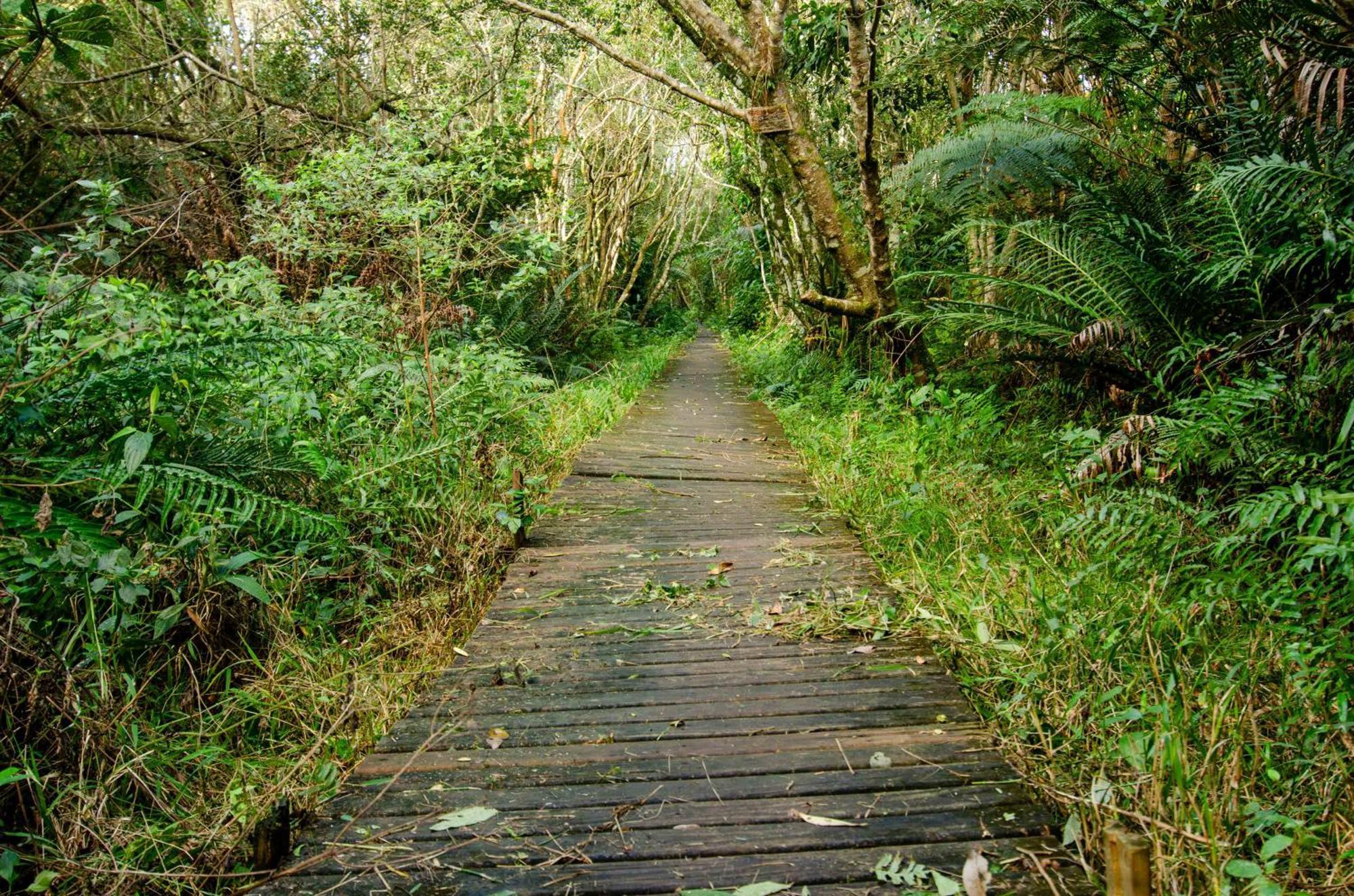 Pousada Do Moca Florianópolis Dış mekan fotoğraf
